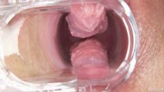 Pulsating vulva [23 maja 2016] - screenshot from the video #5