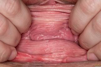 Supermassive Pink Hole [6 de abril de 2021] - allystyle006_p.jpg