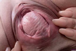 Quite Meaty [October 26, 2019] - allystyle1012_p.jpg