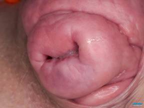 Unique Pussy [15 de novembro de 2025] - andreaquinn011_p.jpg