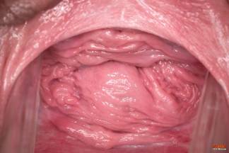 A Lot Of Close-ups [2023年12月26日] - claudia014_p.jpg