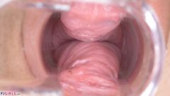 Inside Vanessa Sweet [29. prosince 2017] - screenshot from the video #6