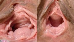 Pussy Comparison [22 września 2024] - screenshot from the video #2