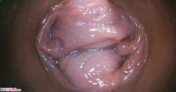 Bonus With Acabella [26 de outubro de 2025] - screenshot from the video #2