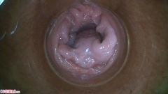 PussyCam Bonus [31. ledna 2021] - screenshot from the video #3
