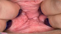 Looking For Pleasure [5 de fevereiro de 2020] - screenshot from the video #4