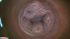 PussyCam Bonus [31. ledna 2021] - screenshot from the video #4