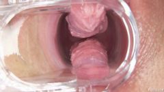 Pulsating vulva [23 maja 2016] - screenshot from the video #5