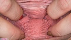 Pussyflex [19 dicembre 2018] - screenshot from the video #5