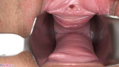 Inside Licky [28 de dezembro de 2018] - screenshot from the video #5