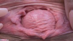 Quite Meaty [2019年10月25日] - screenshot from the video #5