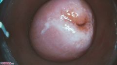PussyCam Bonus [31. ledna 2021] - screenshot from the video #5