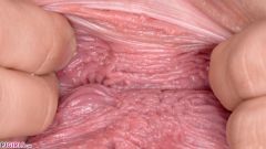 Strong Fingers [11 marca 2020] - screenshot from the video #6