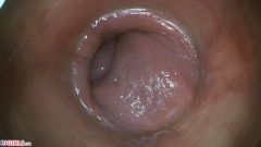 PussyCam Bonus [31. ledna 2021] - screenshot from the video #6