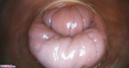 Bonus With Acabella [26 de outubro de 2025] - screenshot from the video #6