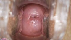 Inside Grace Wonder [5 de diciembre de 2025] - screenshot from the video #6