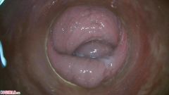 PussyCam Bonus [31. ledna 2021] - screenshot from the video #7