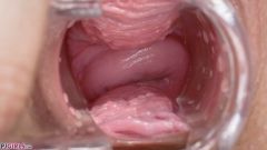 Pink Inside Charlie Red [September 15, 2023] - screenshot from the video #7