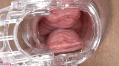 Inside Pink Pussy [February 23, 2024] - screenshot from the video #7