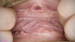 Pink Gapes [12 marca 2025] - screenshot from the video #7