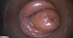 Bonus With Acabella [26 de outubro de 2025] - screenshot from the video #7