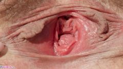 Oriana Under The Bridge [4 marzo 2026] - screenshot from the video #7