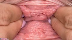 Wide Gapes [2 octobre 2023] - screenshot from the video #8
