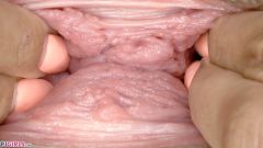 Yummy Pussy [October 4, 2024] - screenshot from the video #8