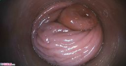 Bonus With Acabella [26 de outubro de 2025] - screenshot from the video #8