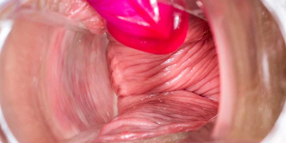 Macro Pussy II - intro photo